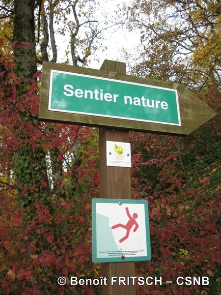 Sentier DNB-BenoitFritsch - Sentier_DNB-BenoitFritsch.jpg Sentier_DNB-BenoitFritsch.jpg