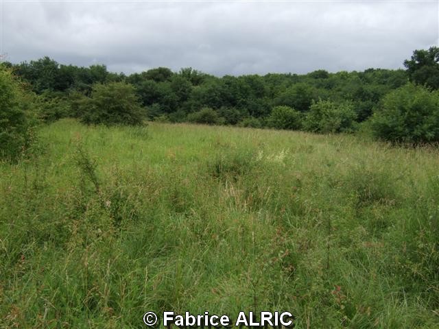 Fabrice ALRIC BEUE-080617-taches-a-surveiller PE1 - Fabrice_ALRIC_BEUE-080617-taches-a-surveiller_PE1.JPG Fabrice_ALRIC_BEUE-080617-taches-a-surveiller_PE1.JPG