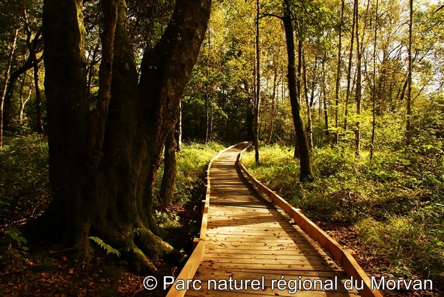 Etang-Taureau PNRM 2 - Etang-Taureau_PNRM_2.JPG Etang-Taureau_PNRM_2.JPG