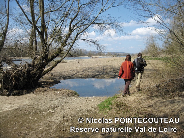 ReserveValDeLoire NicolasPointecouteau - ReserveValDeLoire_NicolasPointecouteau.jpg ReserveValDeLoire_NicolasPointecouteau.jpg