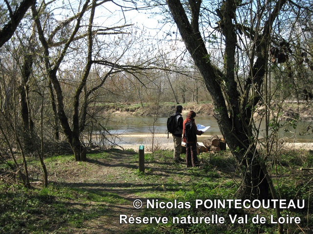 ReserveValDeLoire-NicolasPointecouteau - ReserveValDeLoire-NicolasPointecouteau.jpg ReserveValDeLoire-NicolasPointecouteau.jpg