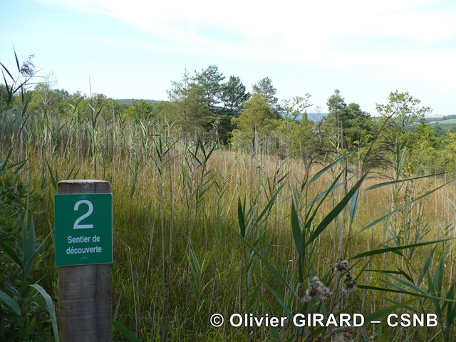 Signalétique-OlivierGirard-CSNB - Signalétique-OlivierGirard-CSNB.JPG Signalétique-OlivierGirard-CSNB.JPG